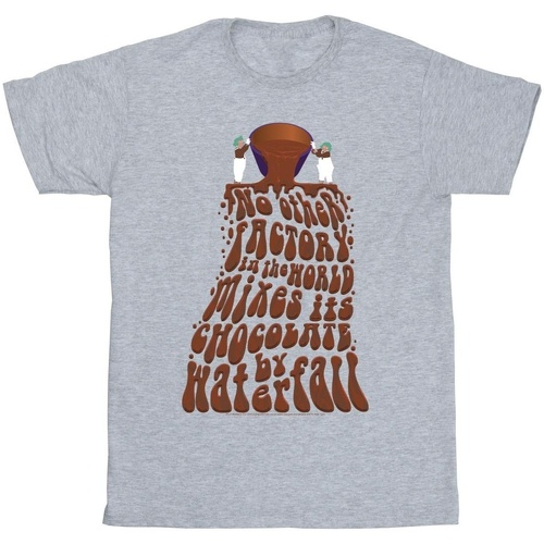 Abbigliamento Uomo T-shirts a maniche lunghe Willy Wonka Chocolate Waterfall Grigio