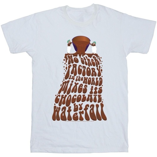 Abbigliamento Uomo T-shirts a maniche lunghe Willy Wonka Chocolate Waterfall Bianco