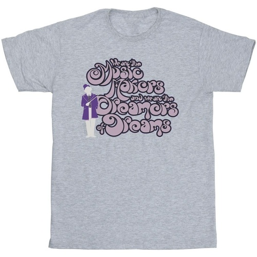 Abbigliamento Uomo T-shirts a maniche lunghe Willy Wonka Dreamers Text Grigio
