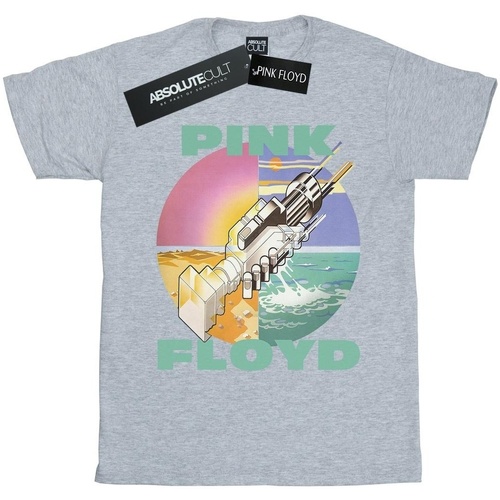 Abbigliamento Donna T-shirts a maniche lunghe Pink Floyd Wish You Were Here Grigio