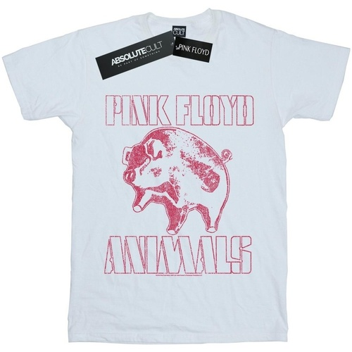 Abbigliamento Donna T-shirts a maniche lunghe Pink Floyd Animals Algie Bianco