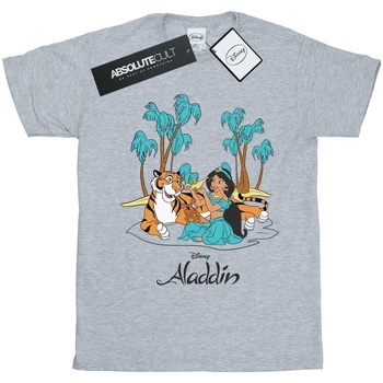 Abbigliamento Donna T-shirts a maniche lunghe Disney Aladdin Jasmine Abu Rajah Beach Grigio