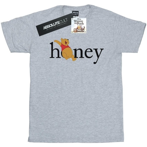 Abbigliamento Uomo T-shirts a maniche lunghe Disney Winnie The Pooh Honey Grigio