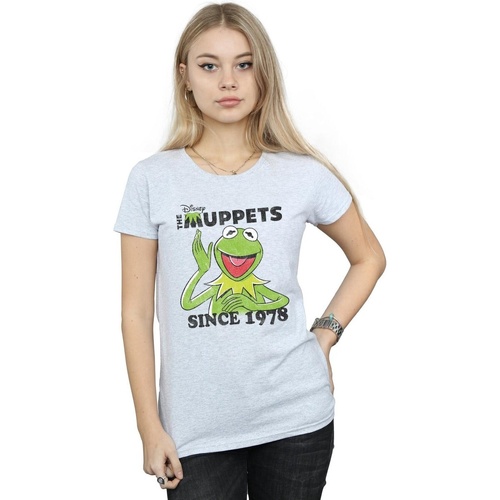 Abbigliamento Donna T-shirts a maniche lunghe Disney The Muppets Kermit Since 1978 Grigio