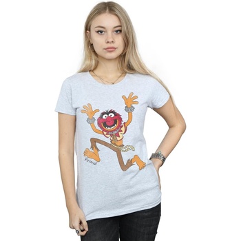 Abbigliamento Donna T-shirts a maniche lunghe Disney The Muppets Classic Animal Grigio