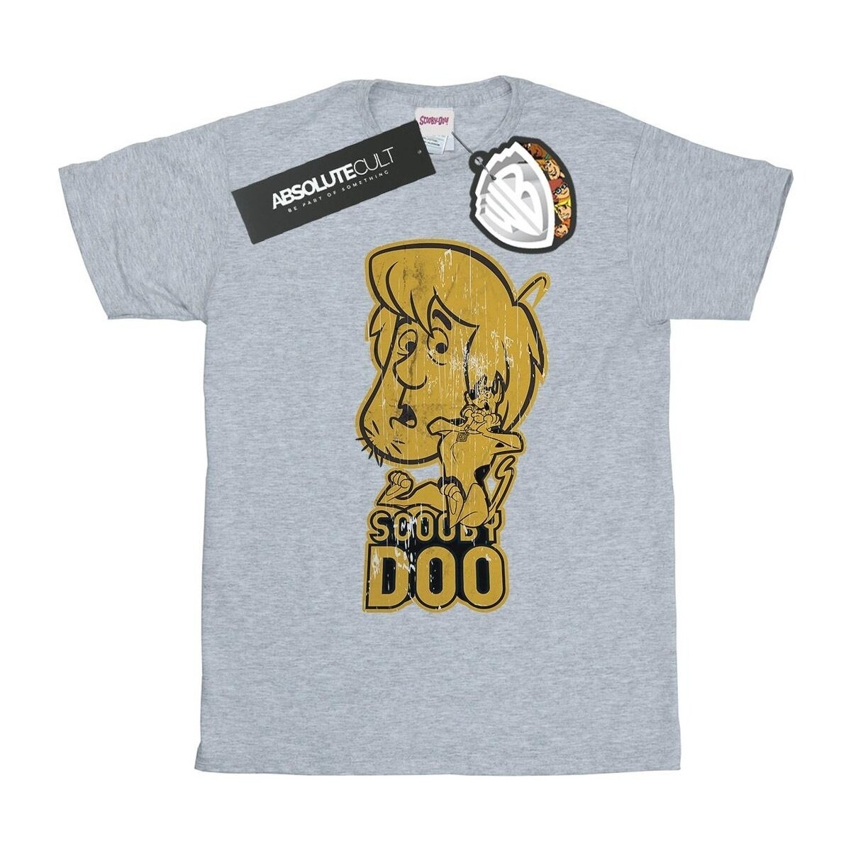 Abbigliamento Donna T-shirts a maniche lunghe Scooby Doo And Shaggy Grigio
