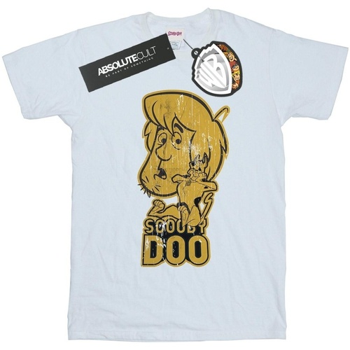 Abbigliamento Donna T-shirts a maniche lunghe Scooby Doo And Shaggy Bianco