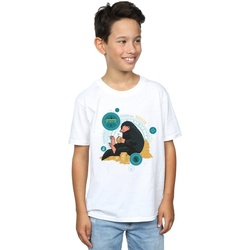 Abbigliamento Bambino T-shirt maniche corte Fantastic Beasts Sitting Niffler Bianco