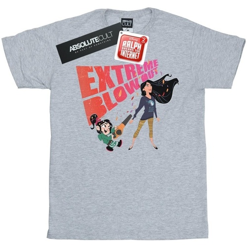 Abbigliamento Uomo T-shirts a maniche lunghe Disney Wreck It Ralph Pocahontas And Vanellope Grigio