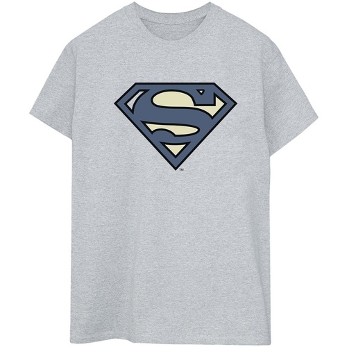 Abbigliamento Donna T-shirts a maniche lunghe Dc Comics Superman Indigo Blue Logo Grigio