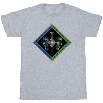 Abbigliamento Uomo T-shirts a maniche lunghe Fantastic Beasts: The Secrets Of Dumbledore Vs Grindelwald Diamond Grigio