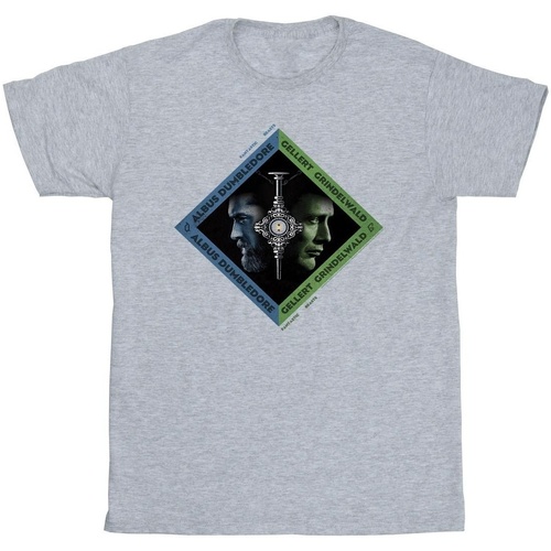 Abbigliamento Uomo T-shirts a maniche lunghe Fantastic Beasts: The Secrets Of Dumbledore Vs Grindelwald Diamond Grigio