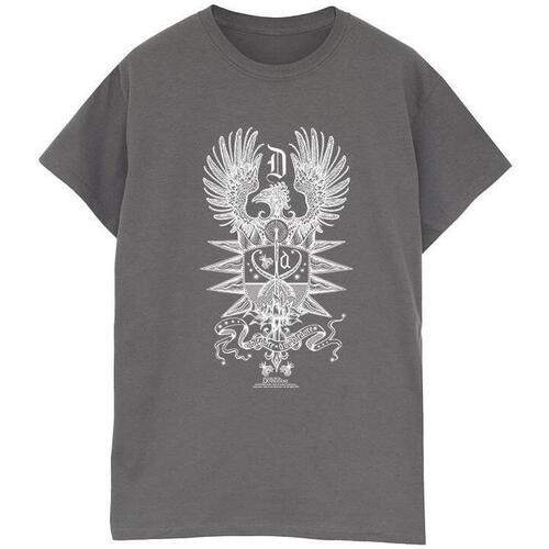 Abbigliamento Uomo T-shirts a maniche lunghe Fantastic Beasts: The Secrets Of Dumbledore Crest Multicolore