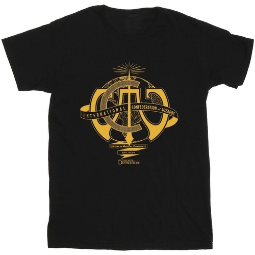 Abbigliamento Uomo T-shirts a maniche lunghe Fantastic Beasts: The Secrets Of International Confederation Of Wizards Nero