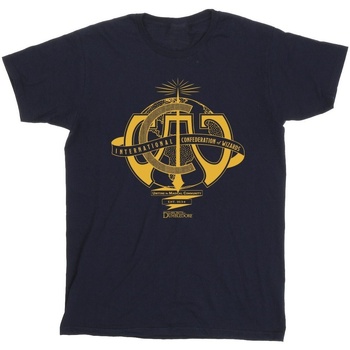 Abbigliamento Uomo T-shirts a maniche lunghe Fantastic Beasts: The Secrets Of International Confederation Of Wizards Blu