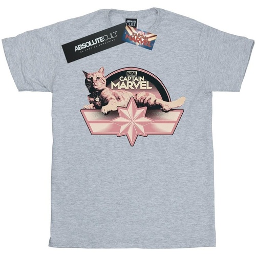 Abbigliamento Donna T-shirts a maniche lunghe Marvel Captain  Chillin Goose Grigio