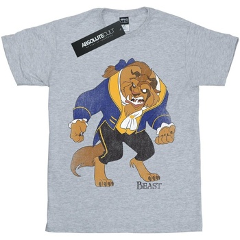 Abbigliamento Bambino T-shirt maniche corte Disney Beauty And The Beast Classic Beast Grigio