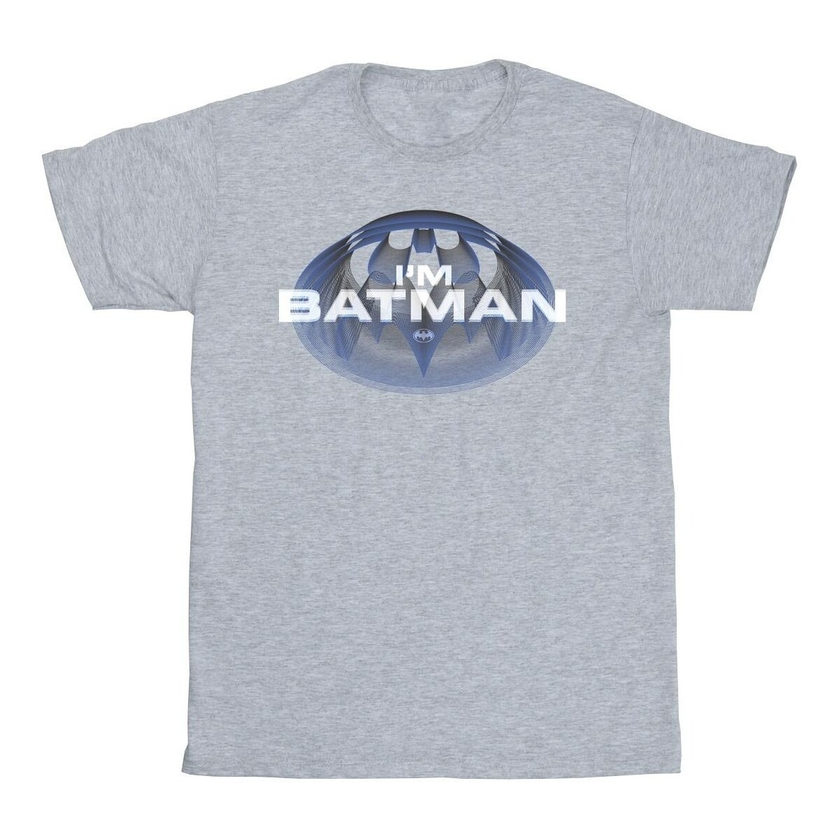 Abbigliamento Bambina T-shirts a maniche lunghe Dc Comics The Flash I'm Batman Grigio