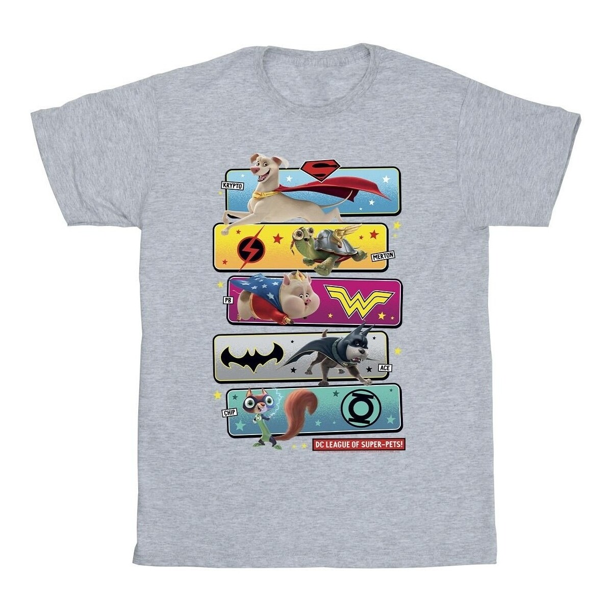 Abbigliamento Bambino T-shirt maniche corte Dc Comics DC League Of Super-Pets Character Pose Grigio