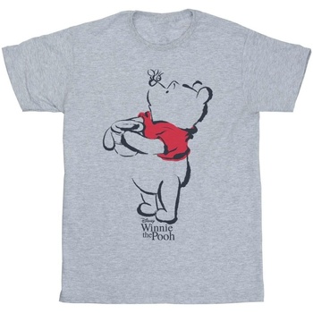 Abbigliamento Bambina T-shirts a maniche lunghe Disney Winnie The Pooh Drawing Grigio