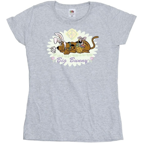 Abbigliamento Donna T-shirts a maniche lunghe Scooby Doo Big Bunny Grigio