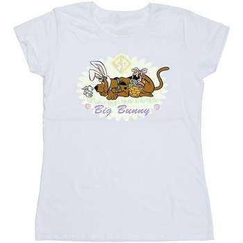 Abbigliamento Donna T-shirts a maniche lunghe Scooby Doo Big Bunny Bianco
