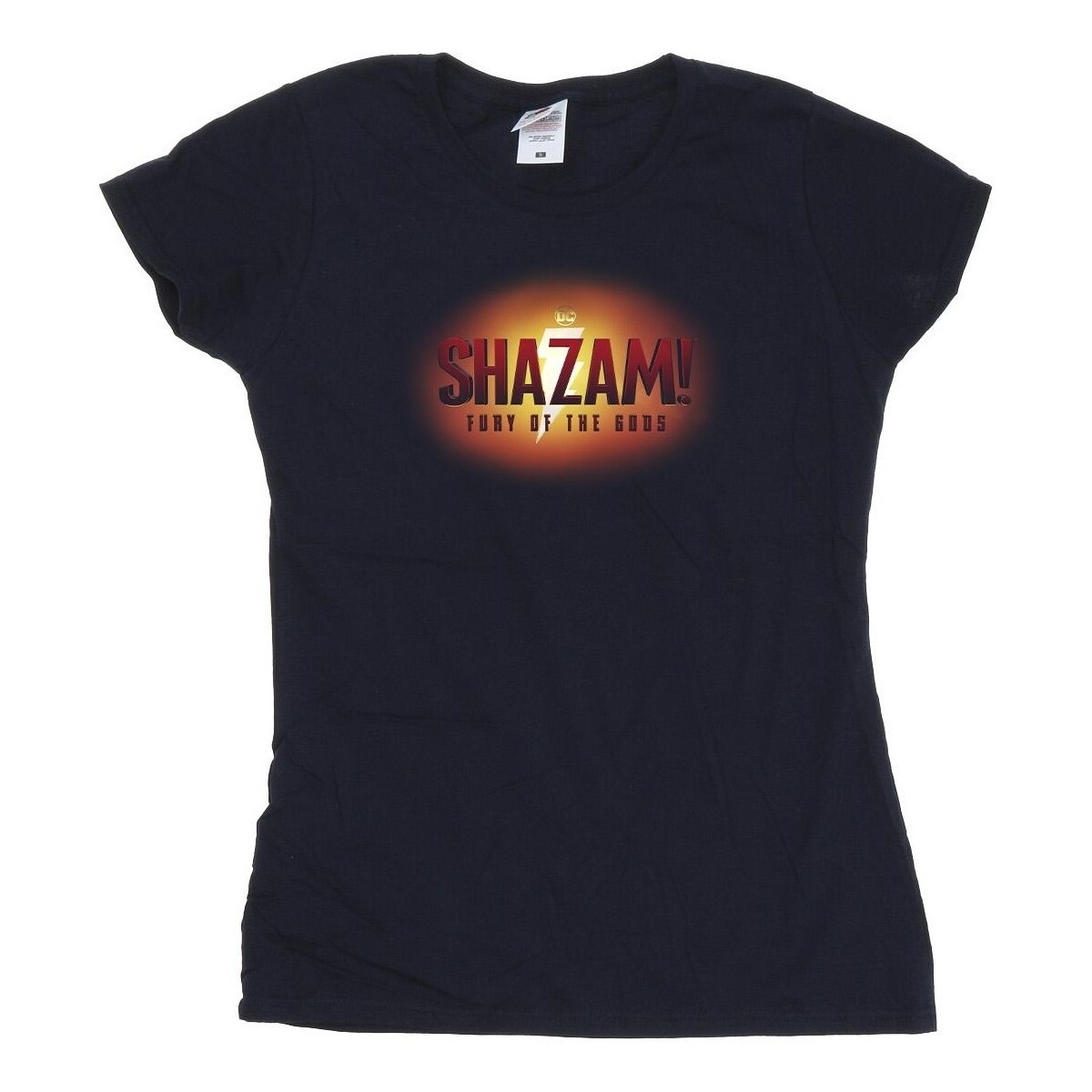 Abbigliamento Donna T-shirts a maniche lunghe Dc Comics Shazam Fury Of The Gods 3D Logo Flare Blu