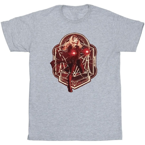 Abbigliamento Bambina T-shirts a maniche lunghe Marvel Doctor Strange Wanda Vintage Grigio