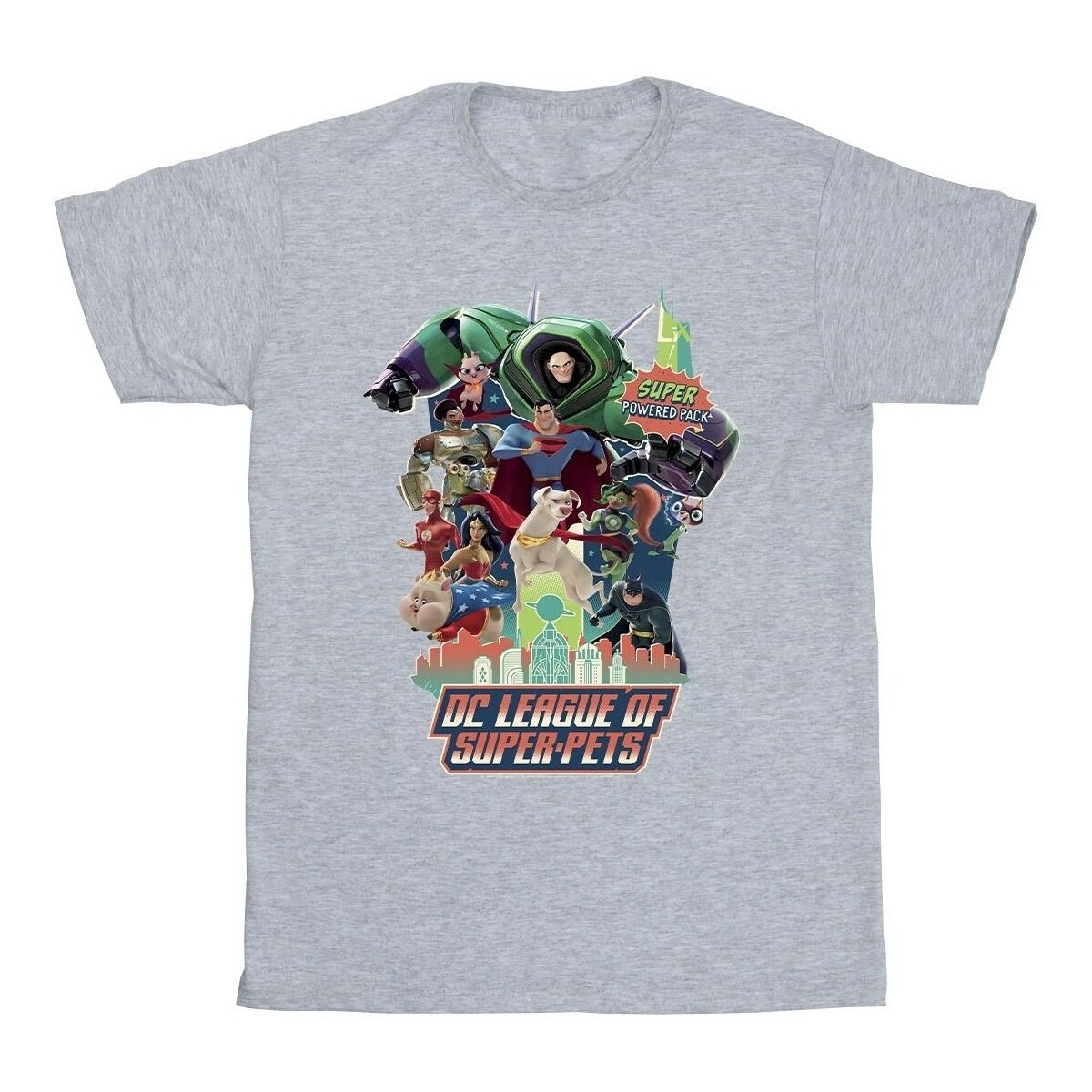 Abbigliamento Bambina T-shirts a maniche lunghe Dc Comics DC League Of Super-Pets Super Powered Pack Grigio