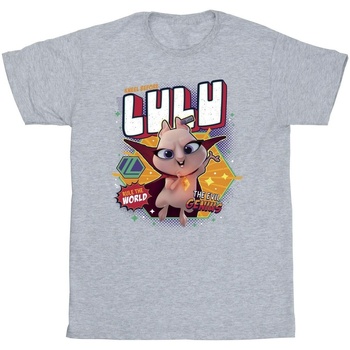Abbigliamento Bambina T-shirts a maniche lunghe Dc Comics DC League Of Super-Pets Lulu Evil Genius Grigio