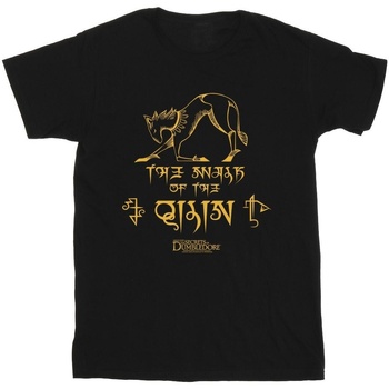 Image of T-shirts a maniche lunghe Fantastic Beasts: The Secrets Of Magic Hieroglyphs