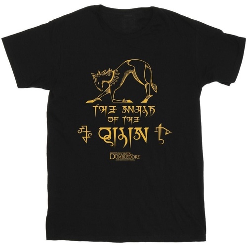Abbigliamento Bambina T-shirts a maniche lunghe Fantastic Beasts: The Secrets Of Magic Hieroglyphs Nero
