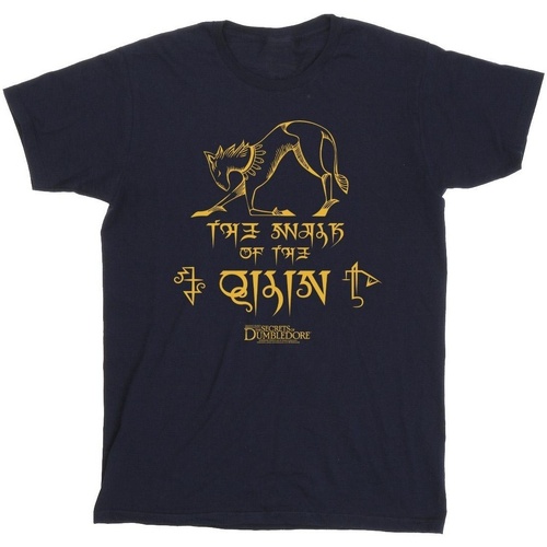 Abbigliamento Bambina T-shirts a maniche lunghe Fantastic Beasts: The Secrets Of Magic Hieroglyphs Blu
