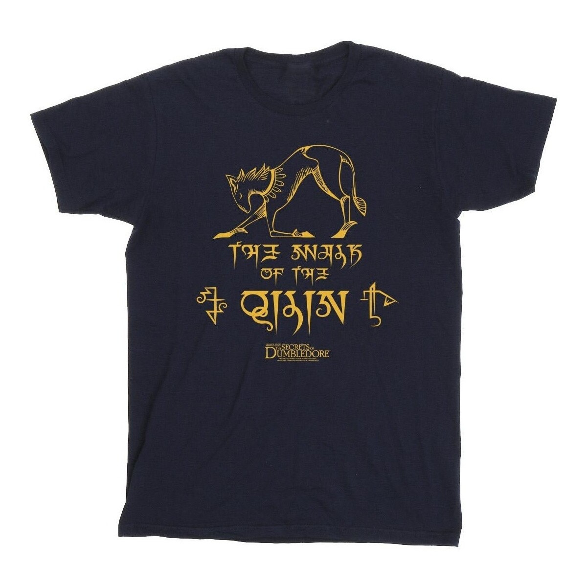 Abbigliamento Bambina T-shirts a maniche lunghe Fantastic Beasts: The Secrets Of Magic Hieroglyphs Blu