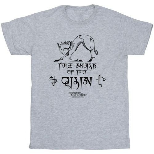 Abbigliamento Bambina T-shirts a maniche lunghe Fantastic Beasts: The Secrets Of Magic Hieroglyphs Grigio