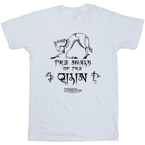 Abbigliamento Bambina T-shirts a maniche lunghe Fantastic Beasts: The Secrets Of Magic Hieroglyphs Bianco