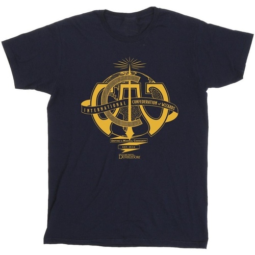 Abbigliamento Bambina T-shirts a maniche lunghe Fantastic Beasts: The Secrets Of International Confederation Of Wizards Blu