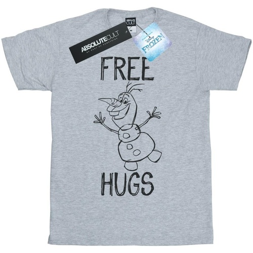 Abbigliamento Bambina T-shirts a maniche lunghe Disney Frozen Olaf Free Hugs Grigio