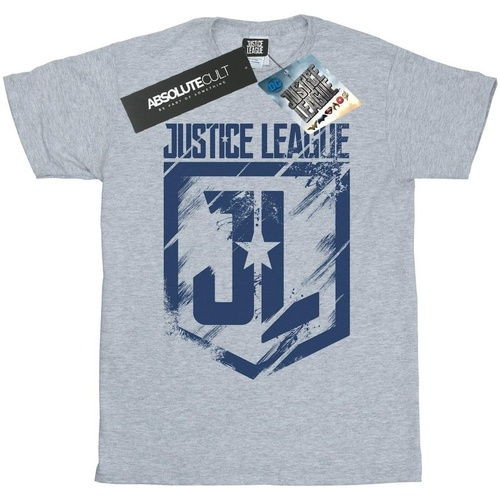 Abbigliamento Bambina T-shirts a maniche lunghe Dc Comics Justice League Movie Indigo Logo Grigio
