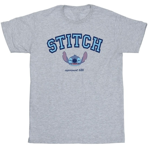 Abbigliamento Bambina T-shirts a maniche lunghe Disney Lilo And Stitch Collegial Grigio