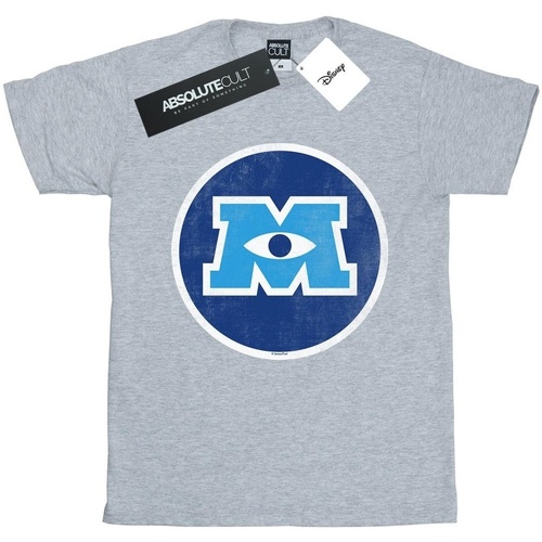 Abbigliamento Donna T-shirts a maniche lunghe Disney Monsters University Monster Emblem Grigio