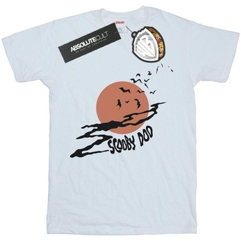 Abbigliamento Bambino T-shirt maniche corte Scooby Doo Spooky Moon Bianco