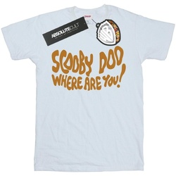 Abbigliamento Bambino T-shirt maniche corte Scooby Doo Where Are You Spooky Bianco