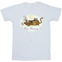 Abbigliamento Bambino T-shirt maniche corte Scooby Doo Big Bunny Bianco