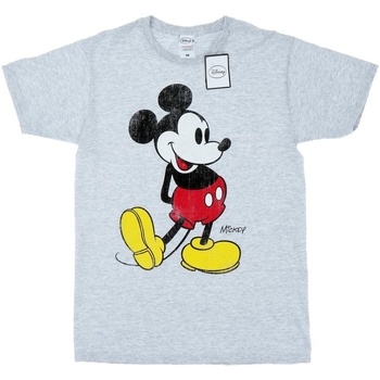Abbigliamento Uomo T-shirts a maniche lunghe Disney Mickey Mouse Classic Kick Grigio