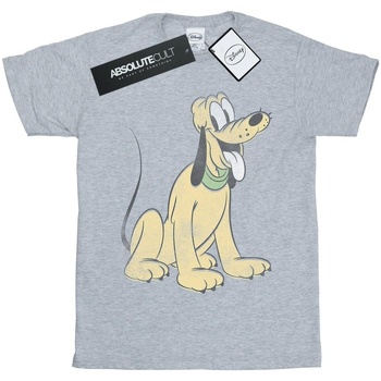 Abbigliamento Uomo T-shirts a maniche lunghe Disney Pluto Sitting Grigio
