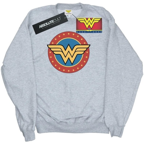 Abbigliamento Uomo Felpe Dc Comics Wonder Woman Circle Logo Grigio