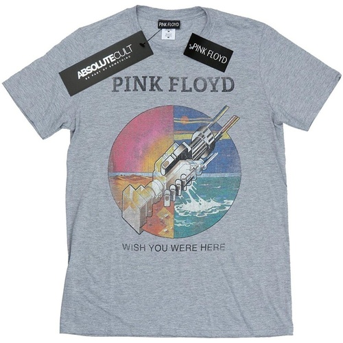 Abbigliamento Bambina T-shirts a maniche lunghe Pink Floyd Wish You Were Here Grigio