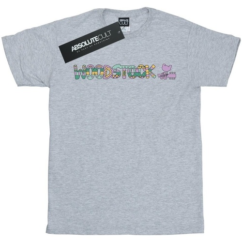 Abbigliamento Bambina T-shirts a maniche lunghe Woodstock Aztec Logo Grigio