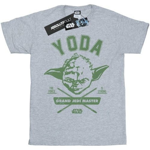 Abbigliamento Bambino T-shirt maniche corte Disney Yoda Collegiate Grigio
